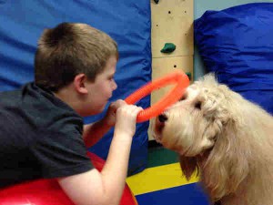 The Samaritan Inn: A Beacon of Hope for Families and Individuals in Collin County in Need of a Helping Hand